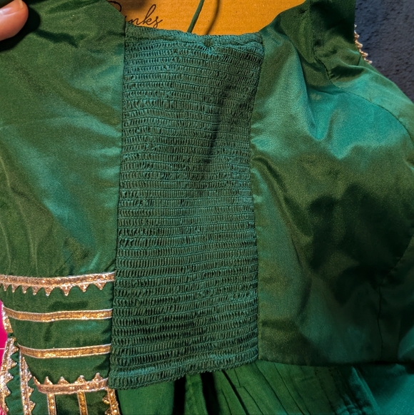 Binks Beautiful Green Sleeveless FlexiFit Saree Blouse With Gold Embellishments - Picture 7 of 7